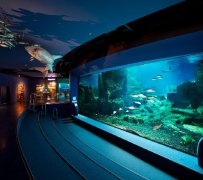 �������ô�����ע���⼸��Ҫ���������Ʒ�ʺ������£�